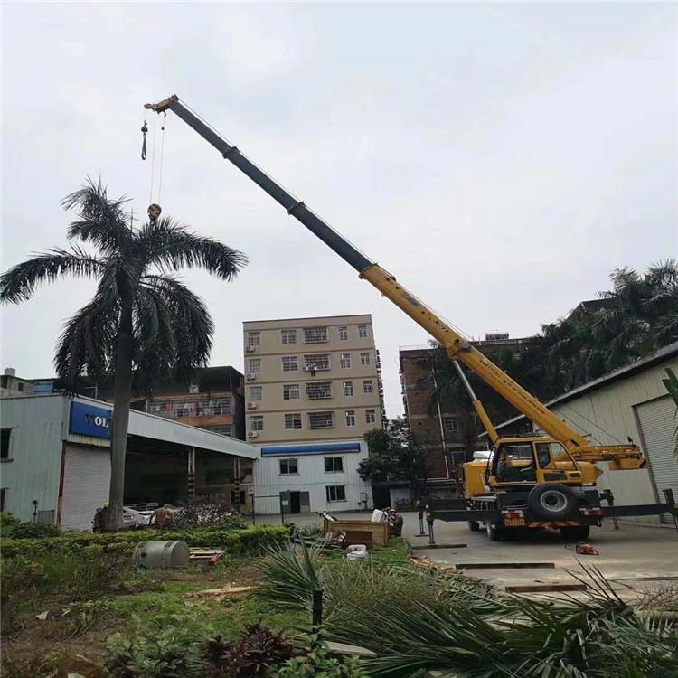 三台汽车吊出租多少钱？全面解析与市场行情